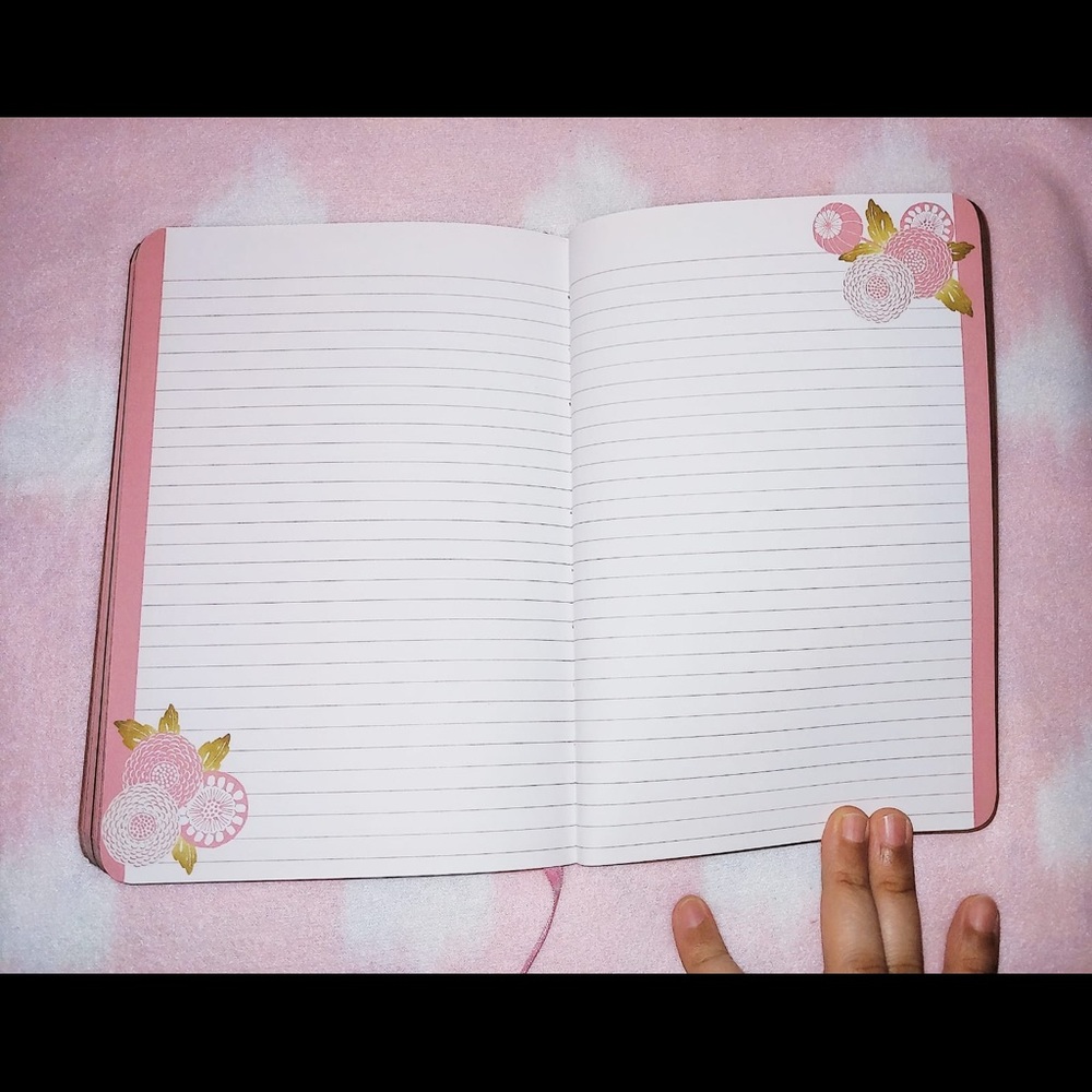 Bird Journal - Picture 5 of 13